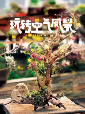 cover image of 玩转空气凤梨